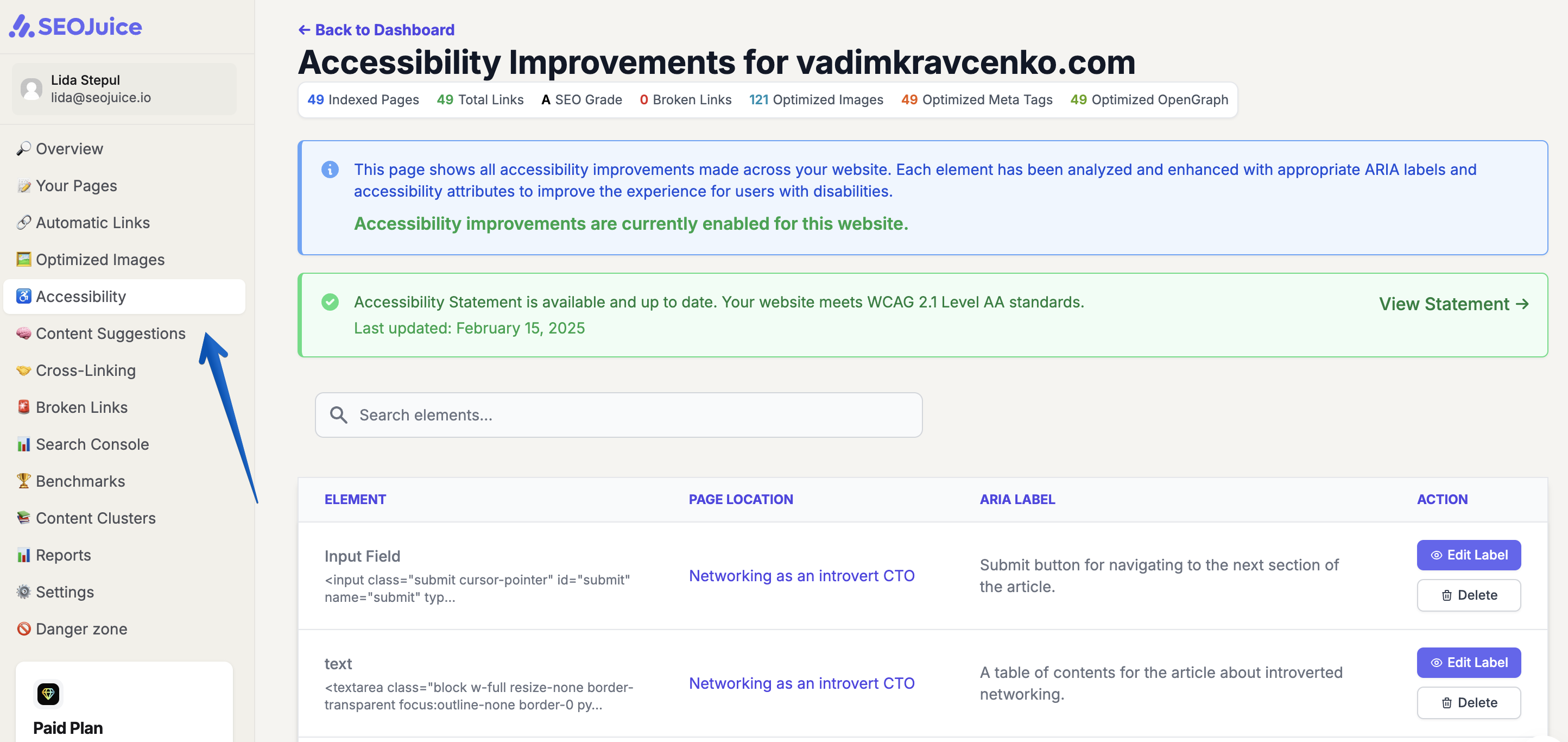 SEOJuice Accessibility dashboard showing detected issues and fixes