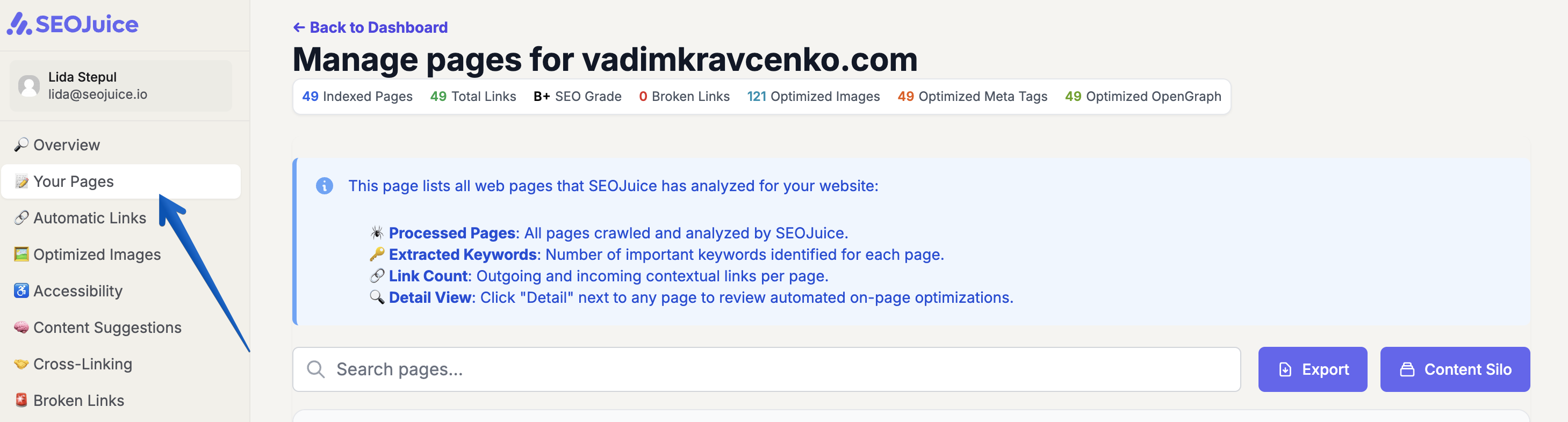 SEOJuice Your Pages tab in the dashboard