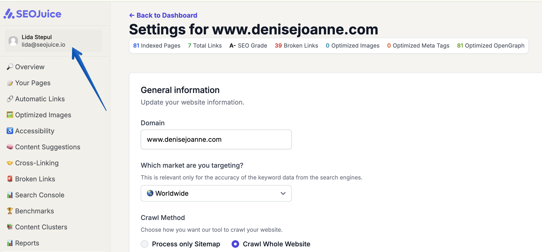 SEOJuice account settings page