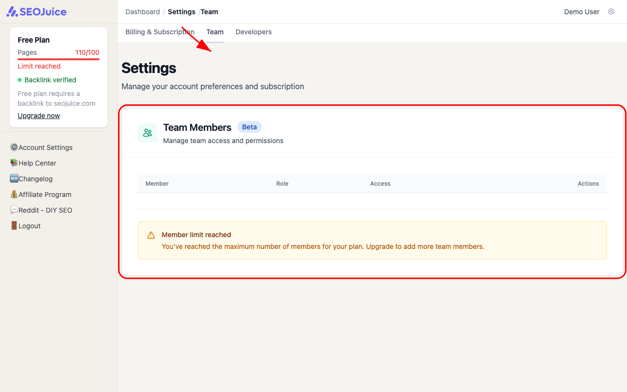 Settings page with Team tab selected, showing Team Members section with member table and role columns
