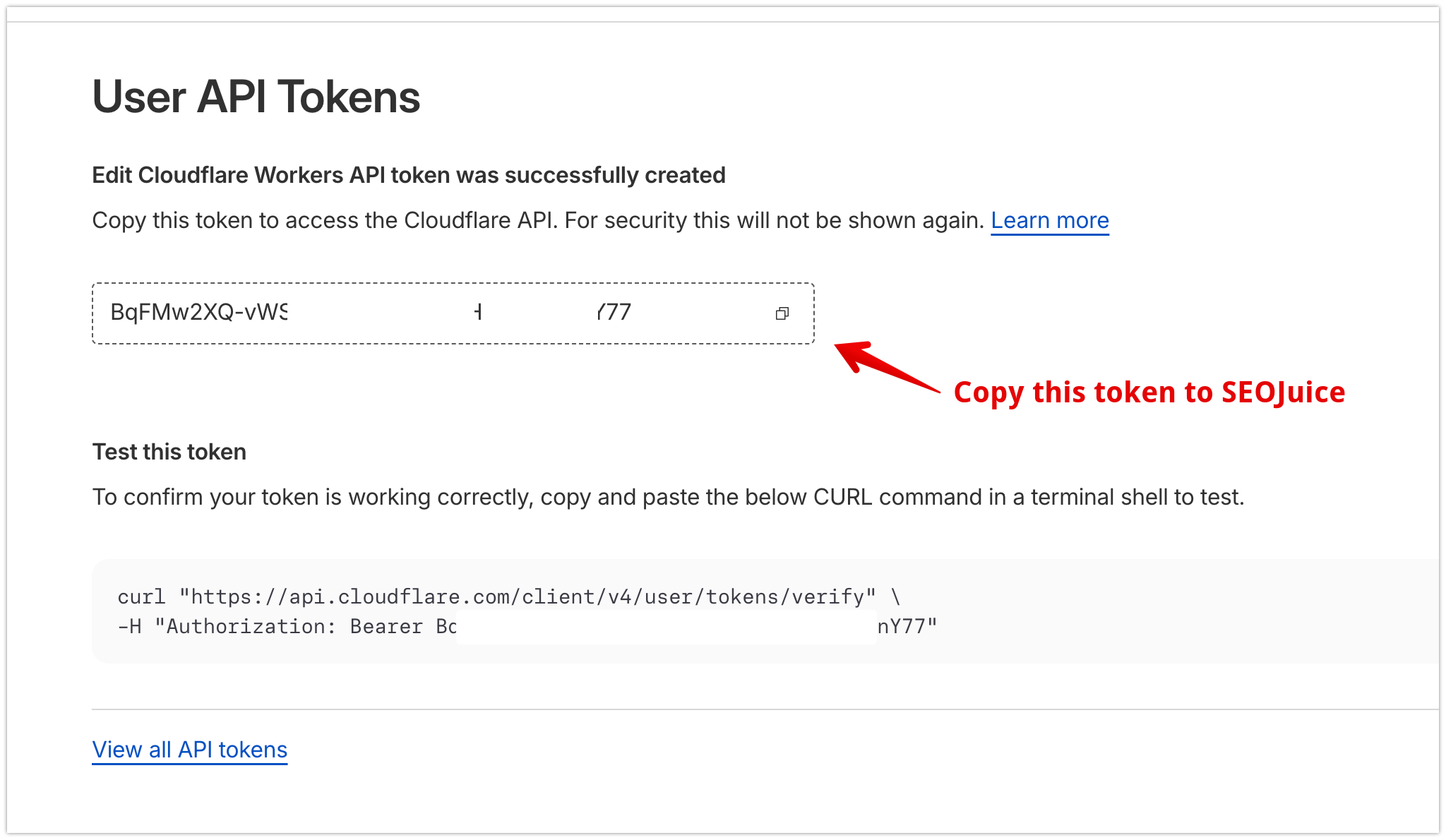 Cloudflare showing newly generated API token