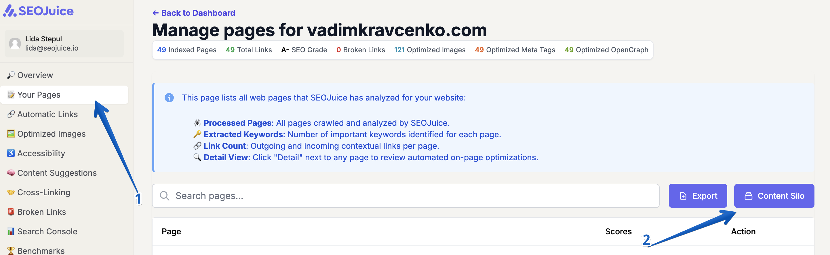 SEOJuice dashboard showing Content Silo navigation